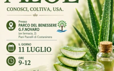 Workshop ALOE – 11 Luglio