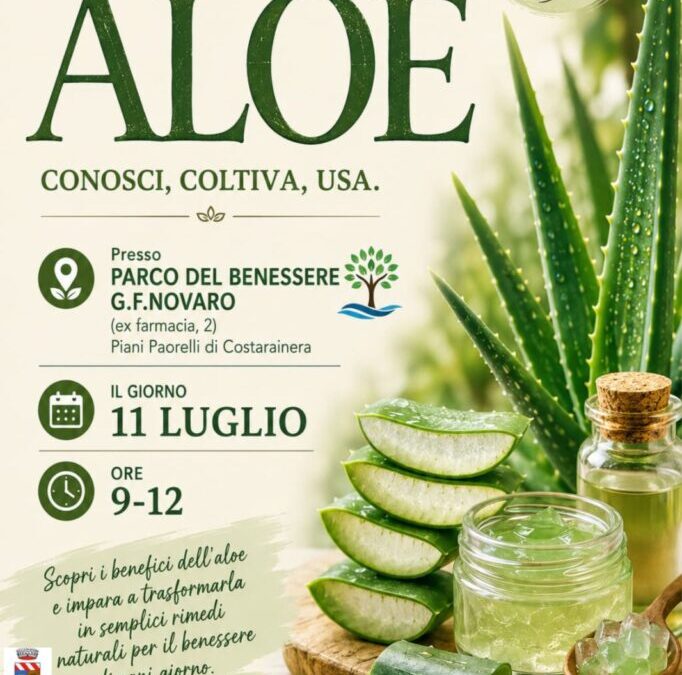 Workshop ALOE – 11 Luglio